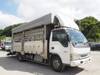 ISUZU OTHER