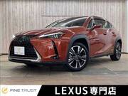 2021 LEXUS UX