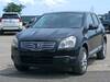 NISSAN DUALIS