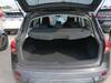 NISSAN DUALIS