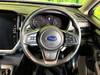 SUBARU OTHER