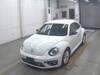 VOLKSWAGEN THE BEETLE