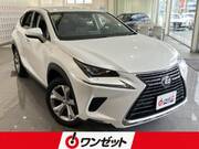 2018 LEXUS NX