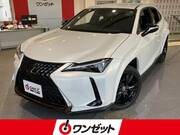 2021 LEXUS UX