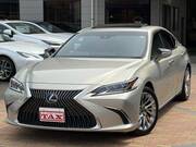 2019 LEXUS ES