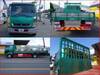FUSO FIGHTER