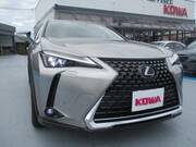 2018 LEXUS UX