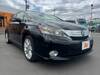 LEXUS HS