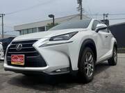 2017 LEXUS NX