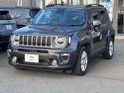 2019 CHRYSLER JEEP RENEGADE