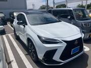2024 LEXUS NX