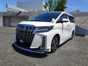 2019 TOYOTA ALPHARD