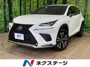 2018 LEXUS NX