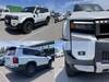 TOYOTA LANDCRUISER 250