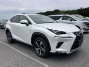 2019 LEXUS NX