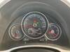 VOLKSWAGEN THE BEETLE