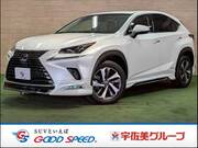 2018 LEXUS NX