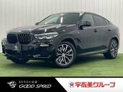 2020 BMW X6