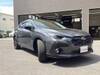 SUBARU OTHER
