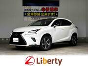 2019 LEXUS NX