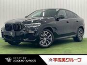2020 BMW X6