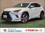 2018 LEXUS NX
