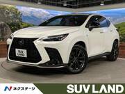 2022 LEXUS NX