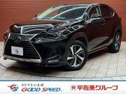2019 LEXUS NX