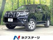 2021 TOYOTA LAND CRUISER PRADO TX