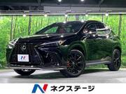 2023 LEXUS NX