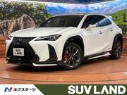 2019 LEXUS UX