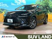 2019 LEXUS NX