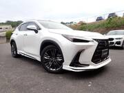 2022 LEXUS NX