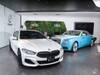 BMW 8 SERIES