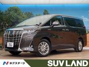 2019 TOYOTA ALPHARD HYBRID