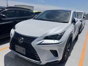 2021 LEXUS NX