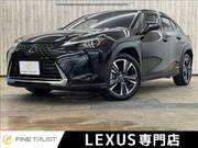 2019 LEXUS UX