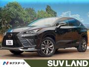 2018 LEXUS NX