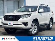 2023 TOYOTA LAND CRUISER PRADO TX