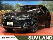 2018 LEXUS NX
