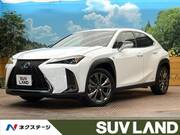 2019 LEXUS UX