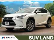 2015 LEXUS NX