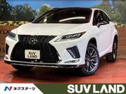 2019 LEXUS RX