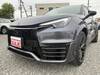 LEXUS OTHER