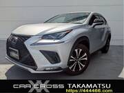 2019 LEXUS NX