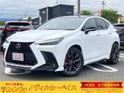 2021 LEXUS NX