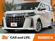 2019 TOYOTA ALPHARD