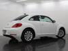 VOLKSWAGEN THE BEETLE