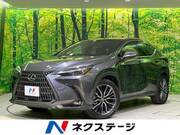 2023 LEXUS NX