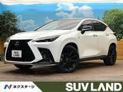 2024 LEXUS NX